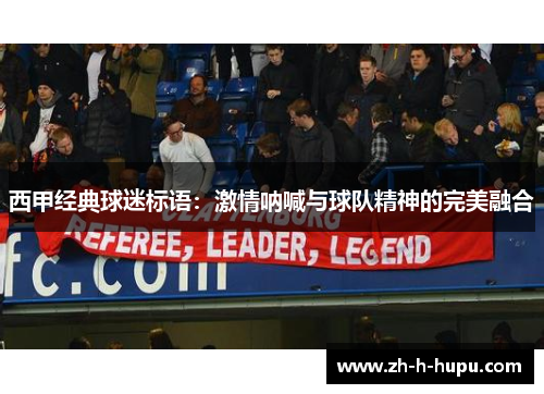 西甲经典球迷标语：激情呐喊与球队精神的完美融合