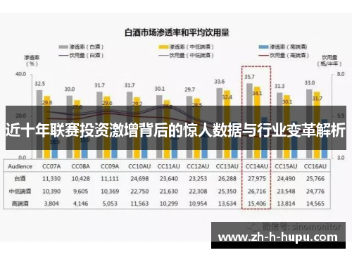 近十年联赛投资激增背后的惊人数据与行业变革解析