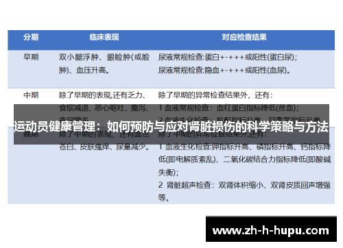 运动员健康管理：如何预防与应对肾脏损伤的科学策略与方法