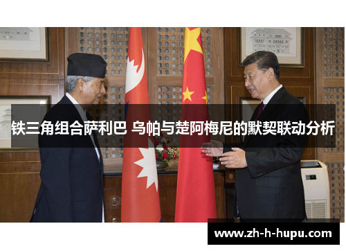 铁三角组合萨利巴 乌帕与楚阿梅尼的默契联动分析