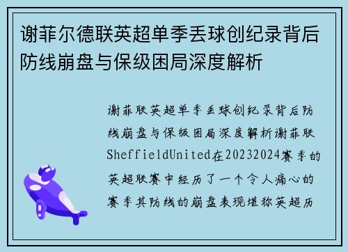 谢菲尔德联英超单季丢球创纪录背后防线崩盘与保级困局深度解析